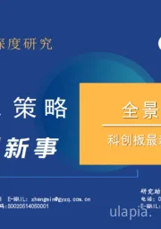 科创板最新受理企业：全景解析