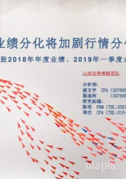 山证策略·A股2018年年度业绩、2019年一季度业绩分析报告：业绩分化将加剧行情分化