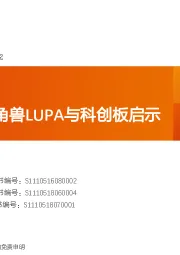 海外研究:美股科技独角兽LUPA与科创板启示