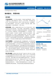 策略点评报告：韧性验证，保持积极