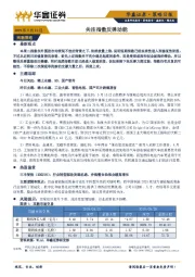 策略日报：关注指数反弹动能