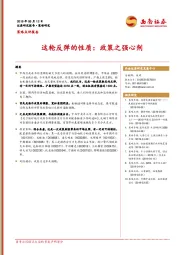 策略点评报告：这轮反弹的性质：政策之强心剂