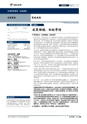 策略周报：政策维稳，积极等待