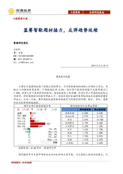 A股策略日报：蓝筹暂歇题材接力，反弹趋势延续