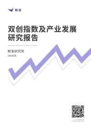 双创指数及产业发展研究报告