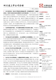 特色主题报告：四川省上市公司分析