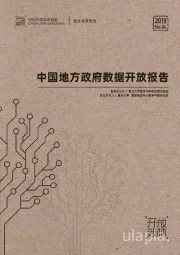 2019上半年中国地方政府数据开放报告