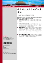 推进建立自然人破产制度简评：个人破产制度体系建设任重道远