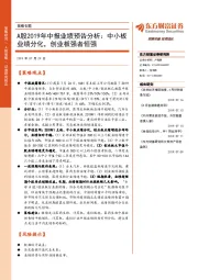 策略专题：A股2019年中报业绩预告分析：中小板业绩分化，创业板强者恒强
