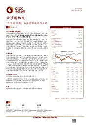 云顶新加坡：2Q19超预期；为高贵宾赢率所驱动