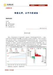 A股策略日报：缩量反弹，后市仍需谨慎