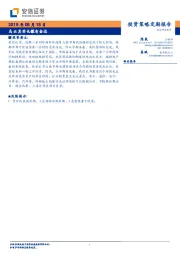 投资策略定期报告：乌云其实也镶有金边