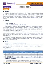 策略日报：若有波动，择机加仓