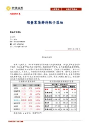 A股策略日报：缩量震荡静待靴子落地