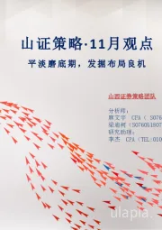山证策略·11月观点：平淡磨底期，发掘布局良机