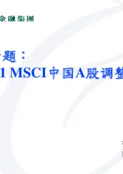 策略专题：2019/11MSCI中国A股调整报告