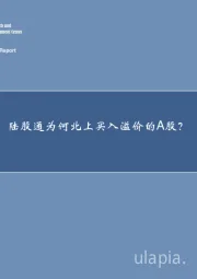 策略专题：陆股通为何北上买入溢价的A股？