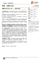 策略·前瞻2020:增量资金如何主导A股? ——复盘与展望