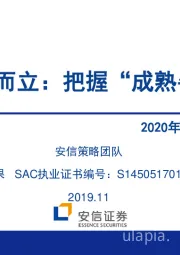 2020年A股投资策略展望：A股而立：把握“成熟牛”