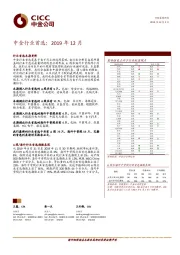 中金行业首选：2019年12月