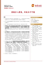 策略周报：周期步入震荡，科技长牛可期