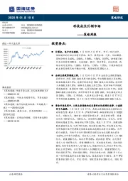 策略周报：科技成长引领市场