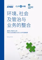 环境、社会及管治与业务的整合