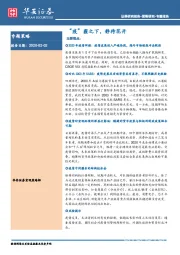 “疫”霾之下，静待花开
