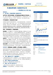 策略周报（2020年第4期）：长期值得期待 短期防御占优