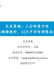 东吴策略：三分钟看中观-存储器继续涨价，12月半导体销售延续改善