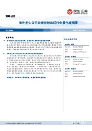 策略研究：海外龙头公司业绩折射怎样行业景气度图景