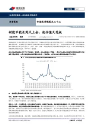 市场思考随笔之三十二：树能不能长到天上去，谈估值天花板