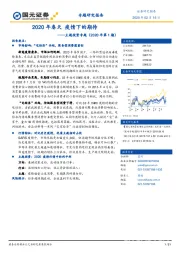 主题投资专题（2020年第1期）：2020年春天 疫情下的期待