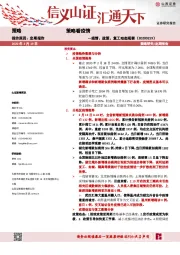 策略看疫情：疫情、政策、复工动态观察