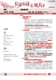 策略看疫情：疫情、政策、复工动态观察