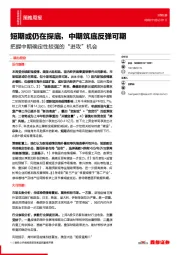 策略周报：把握中期确定性较强的“进攻”机会-短期或仍在探底，中期筑底反弹可期