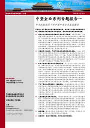 中坚企业系列专题报告一：中日比较视角下的中国中坚企业成长路径