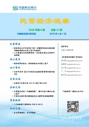 民营经济观察2020年第8期总第37期