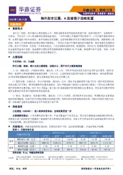 策略日报：海外股市巨震，A股着眼于战略配置