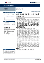 行业比较专刊：疫情影响全面扩散，上中下游景气悉数下行