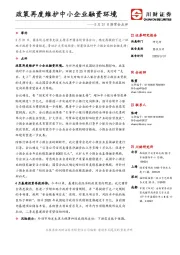 3月31日国常会点评：政策再度维护中小企业融资环境