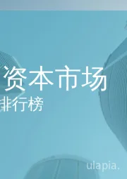 2019年度中国资本市场承销商排行榜