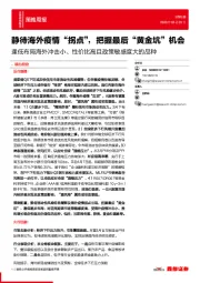 策略周报：逢低布局海外冲击小、性价比高且政策敏感度大的品种-静待海外疫情“拐点”，把握最后“黄金坑”机会