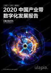 2020中国产业带数字化发展报告