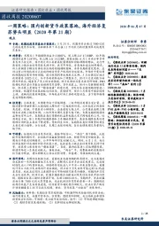 一周策略：国内创新货币政策落地，海外经济复苏势头明显（2020年第21期）