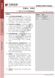 2020年下半年市场策略报告：育新机，开新局