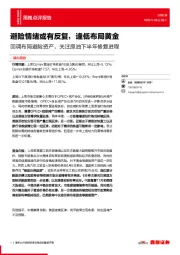 避险情绪或有反复，逢低布局黄金 回调布局避险资产，关注原油下半年修复进程