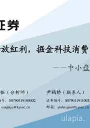 中小盘2020年中期策略：改革释放红利，掘金科技消费小龙头
