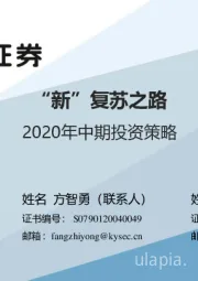 2020年中期投资策略：“新”复苏之路