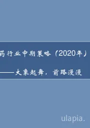 医药行业中期策略（2020年）：大象起舞，前路漫漫